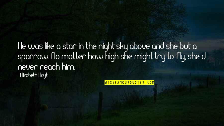 She A Star Quotes By Elizabeth Hoyt: He was like a star in the night