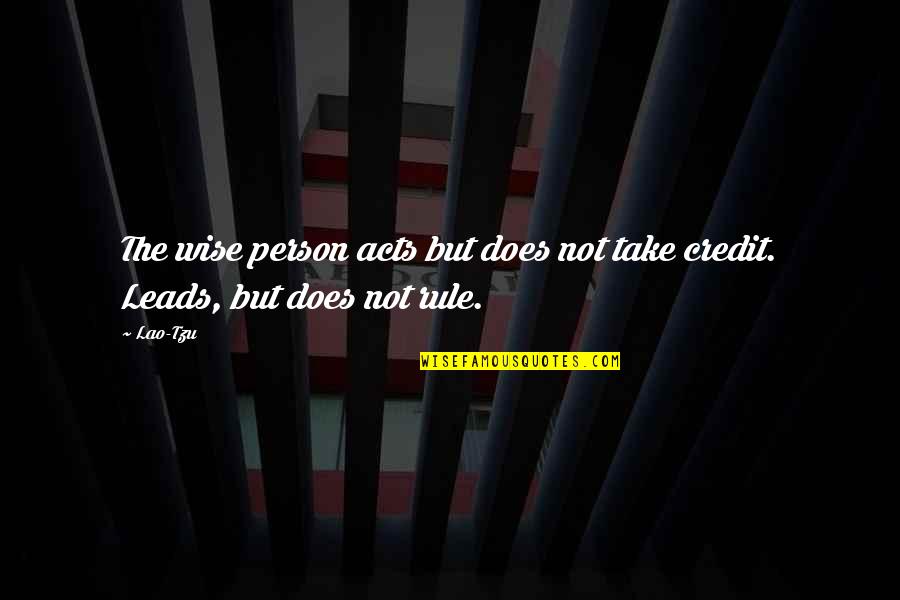 She Can't Understand Me Quotes By Lao-Tzu: The wise person acts but does not take