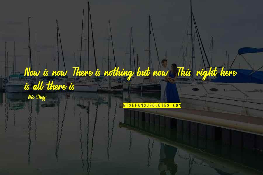 Sheff G Quotes By Nic Sheff: Now is now. There is nothing but now...