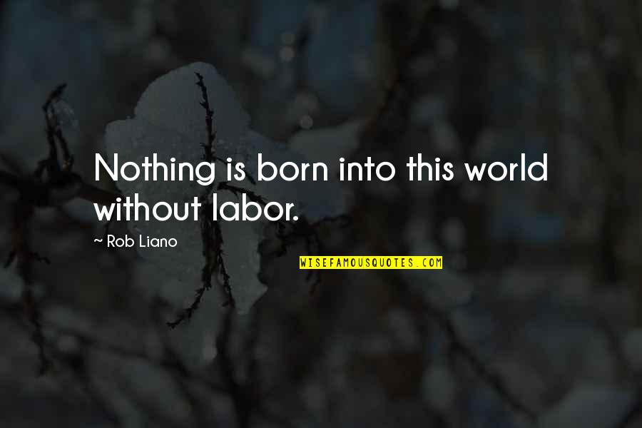 Sheku Kanneh Mason Quotes By Rob Liano: Nothing is born into this world without labor.