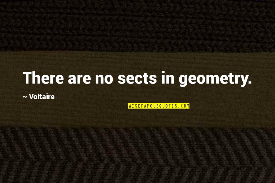 Sheshadri Quotes By Voltaire: There are no sects in geometry.