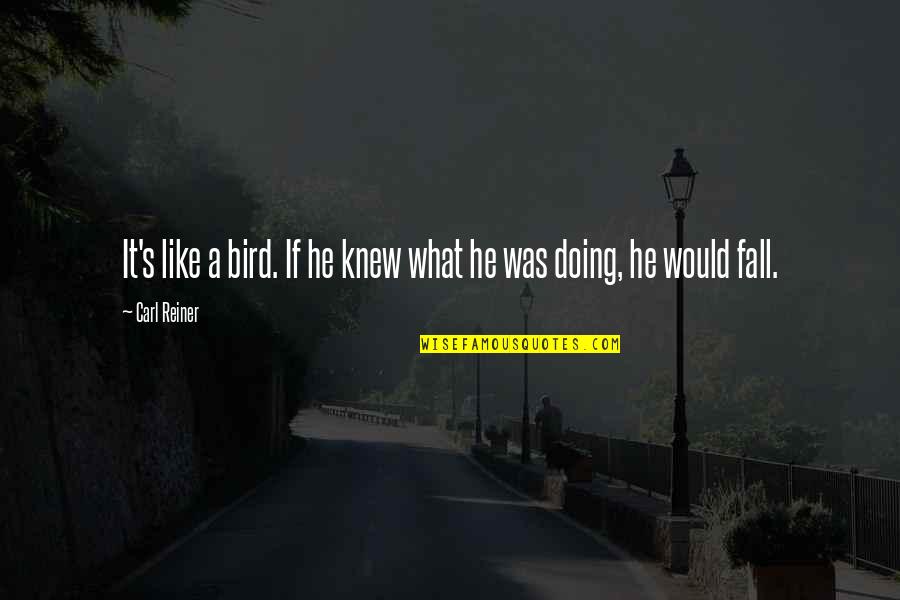 Shlok And Astha Quotes By Carl Reiner: It's like a bird. If he knew what