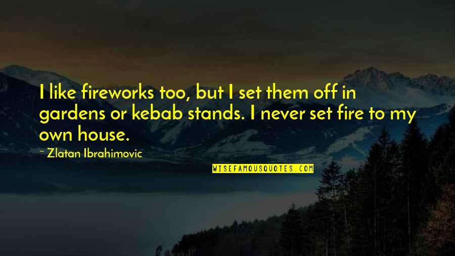 Shmoop Huck Finn Race Quotes By Zlatan Ibrahimovic: I like fireworks too, but I set them