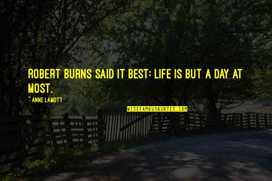 Shoan Quotes By Anne Lamott: Robert Burns said it best: Life is but