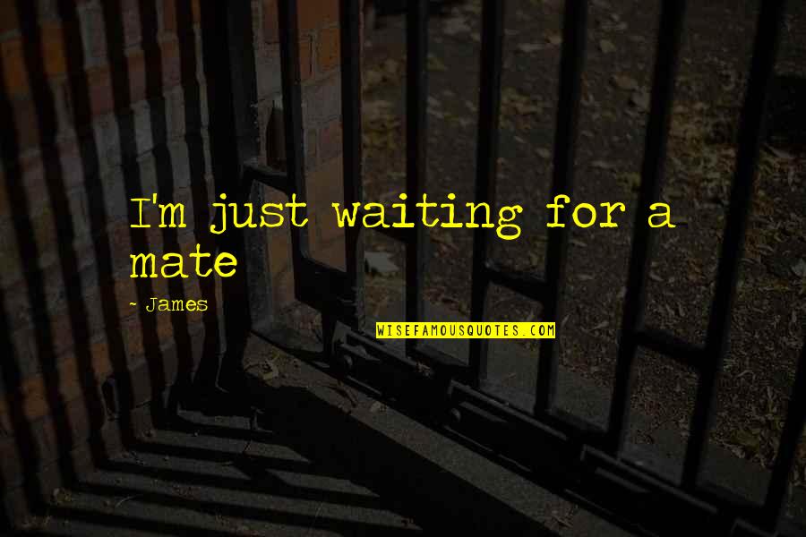 Shopmaker X Quotes By James: I'm just waiting for a mate