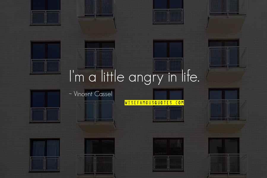 Short Affirmations Quotes By Vincent Cassel: I'm a little angry in life.