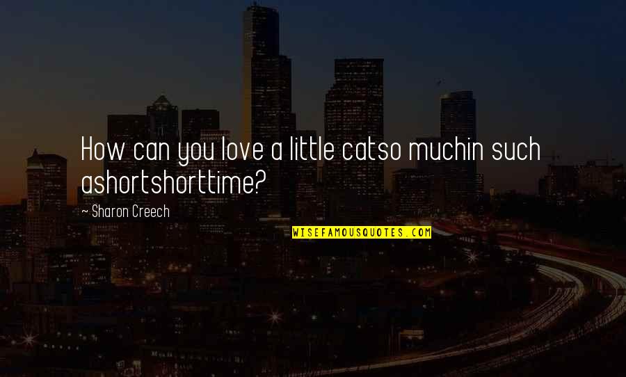 Short Love Love Quotes By Sharon Creech: How can you love a little catso muchin