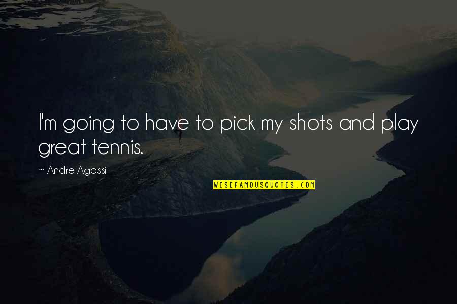 Shudras Soul Smokehouse Quotes By Andre Agassi: I'm going to have to pick my shots