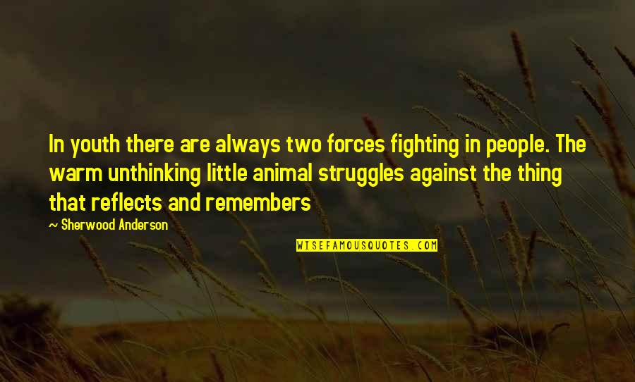 Shuffled Off This Mortal Coil Quotes By Sherwood Anderson: In youth there are always two forces fighting