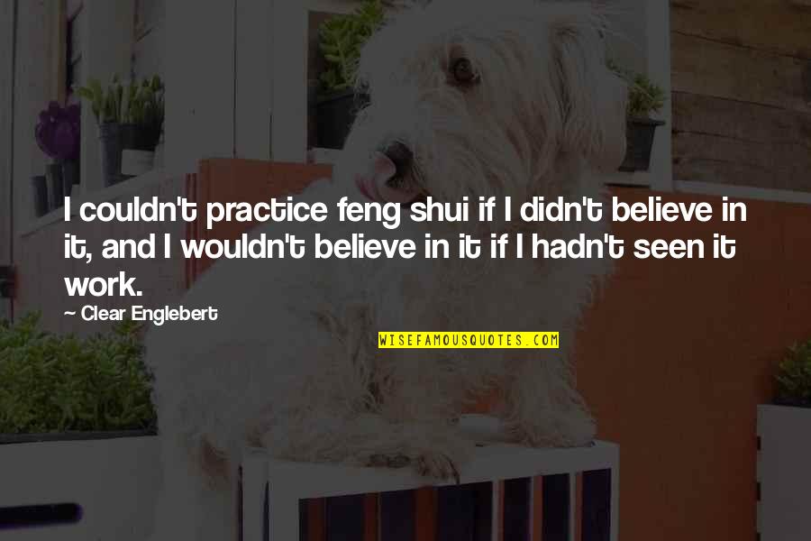 Shui Quotes By Clear Englebert: I couldn't practice feng shui if I didn't