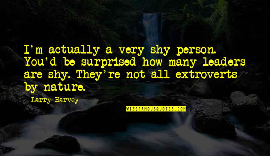 Shy Person Quotes By Larry Harvey: I'm actually a very shy person. You'd be