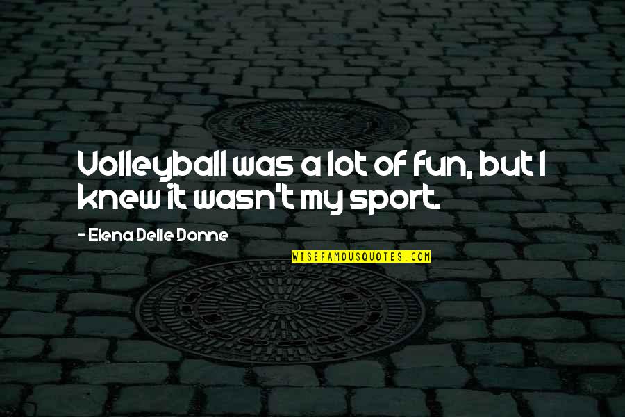 Si Mi Brillo Te Molesta Quotes By Elena Delle Donne: Volleyball was a lot of fun, but I