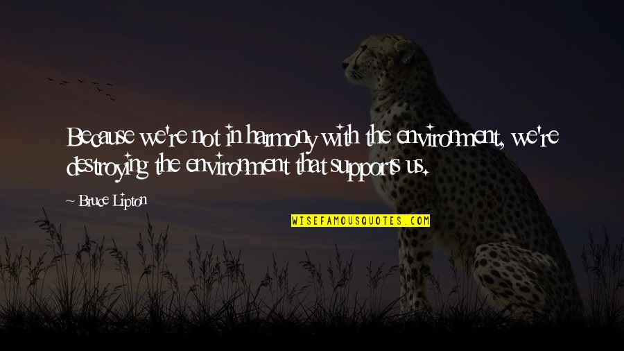 Sideline Girl Quotes By Bruce Lipton: Because we're not in harmony with the environment,