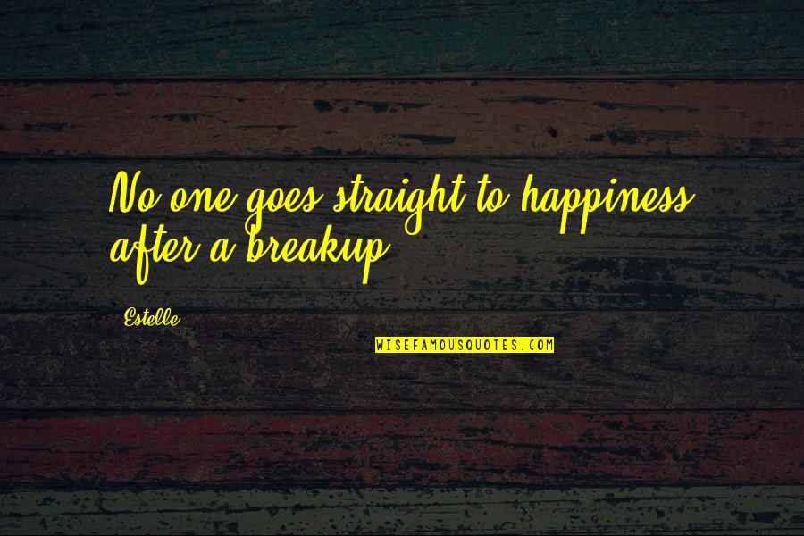 Siebert Lutheran Quotes By Estelle: No one goes straight to happiness after a