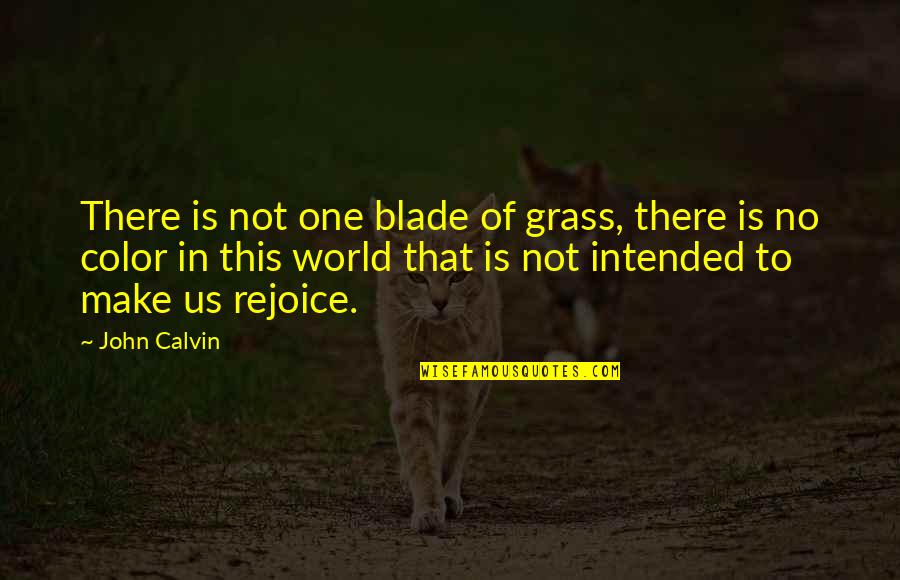 Sigue Tu Vida Quotes By John Calvin: There is not one blade of grass, there