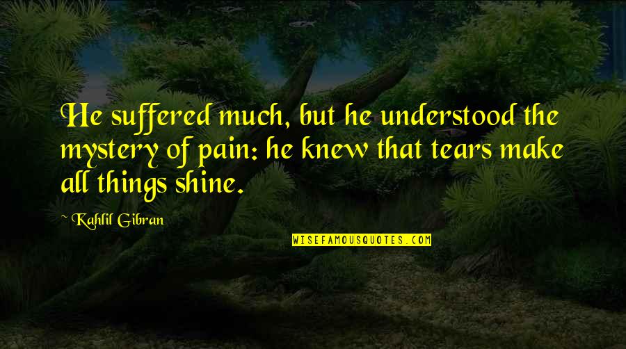 Sikh Girl Quotes By Kahlil Gibran: He suffered much, but he understood the mystery