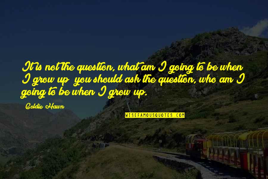 Sikowitz Actor Quotes By Goldie Hawn: It is not the question, what am I