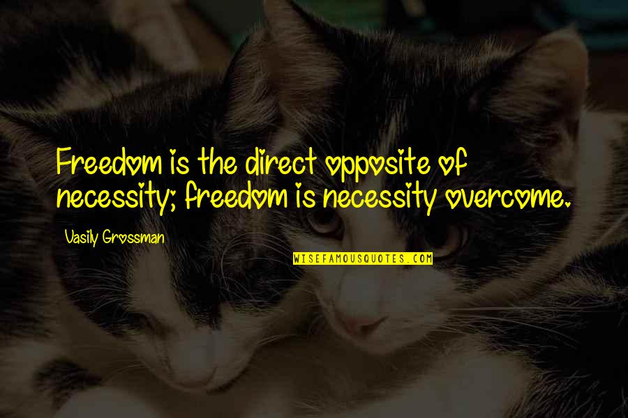 Silence And Friendship Quotes By Vasily Grossman: Freedom is the direct opposite of necessity; freedom