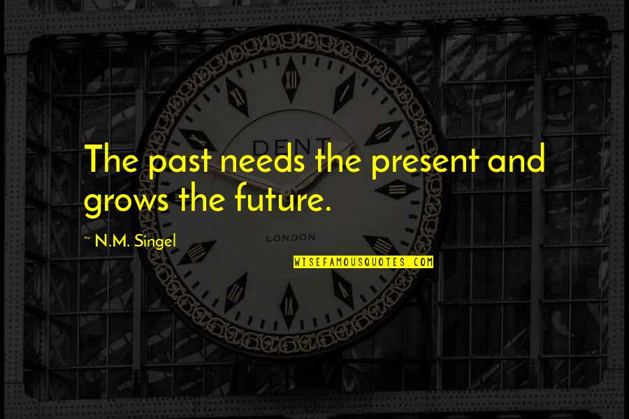 Silence When Hurt Quotes By N.M. Singel: The past needs the present and grows the