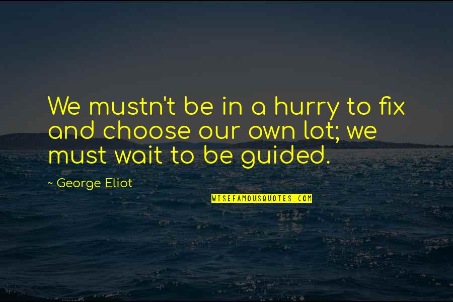 Silk Day Quotes By George Eliot: We mustn't be in a hurry to fix