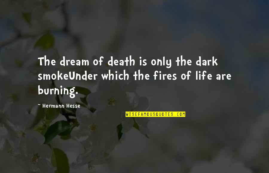 Simple Effective Quotes By Hermann Hesse: The dream of death is only the dark