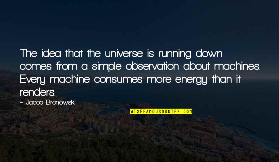 Sinning And Forgiveness Quotes By Jacob Bronowski: The idea that the universe is running down