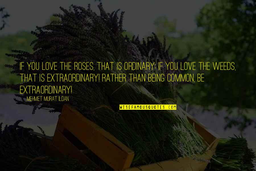 Sipon Quotes By Mehmet Murat Ildan: If you love the roses, that is ordinary;