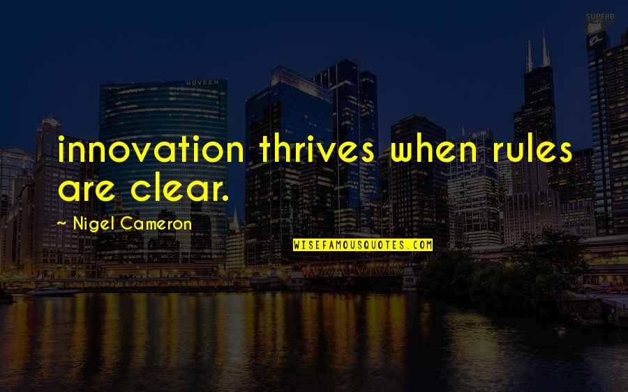 Sivad Inc Quotes By Nigel Cameron: innovation thrives when rules are clear.