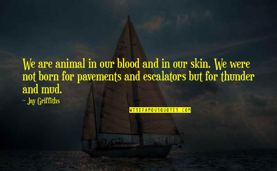 Skin Were In Quotes By Jay Griffiths: We are animal in our blood and in