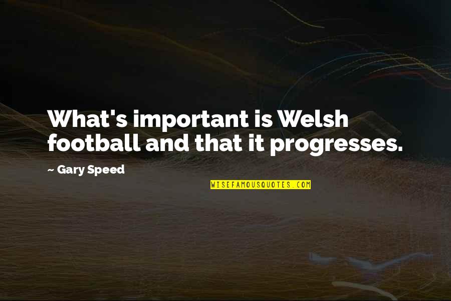 Skokomish Valley Quotes By Gary Speed: What's important is Welsh football and that it