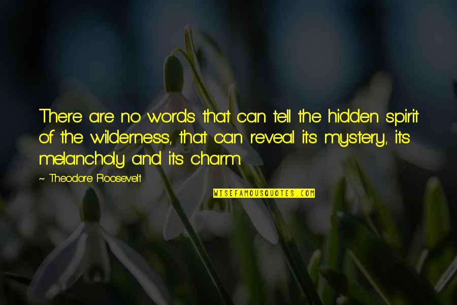 Skrylls Quotes By Theodore Roosevelt: There are no words that can tell the