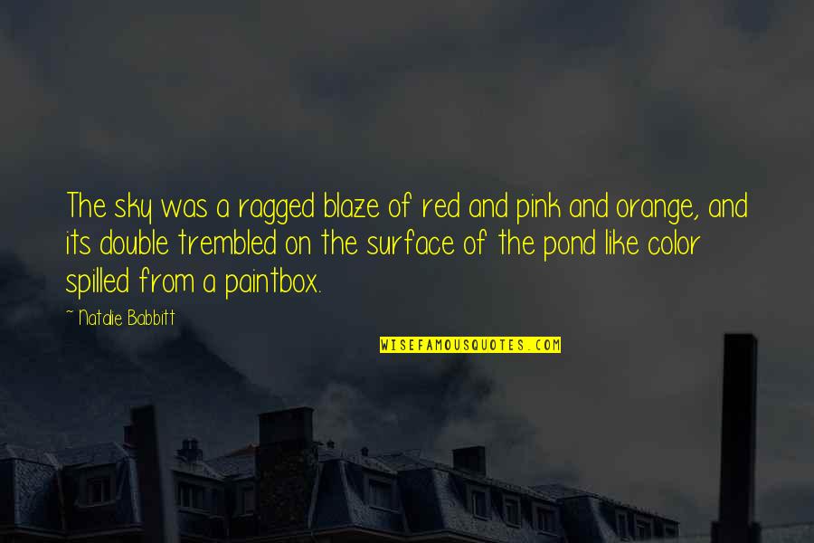 Sky Is Red Quotes By Natalie Babbitt: The sky was a ragged blaze of red