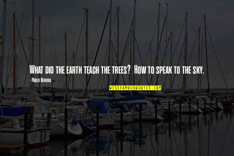 Sky Tree Quotes By Pablo Neruda: What did the earth teach the trees? How