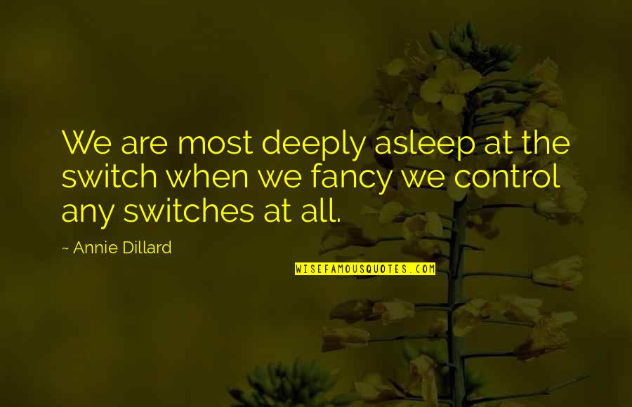 Slackness Crossword Quotes By Annie Dillard: We are most deeply asleep at the switch