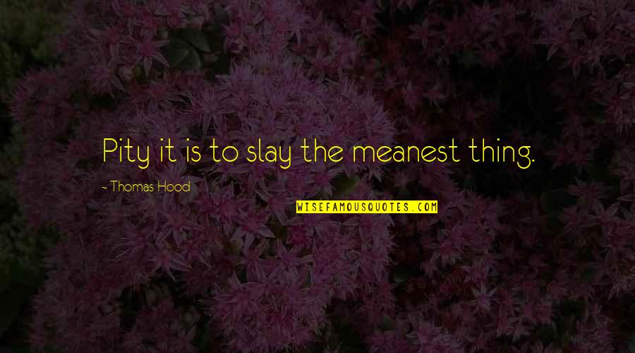 Slay It Quotes By Thomas Hood: Pity it is to slay the meanest thing.