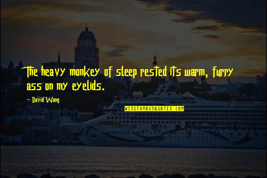 Sleep Warm Quotes By David Wong: The heavy monkey of sleep rested its warm,