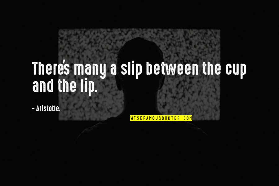 Slip Quotes By Aristotle.: There's many a slip between the cup and