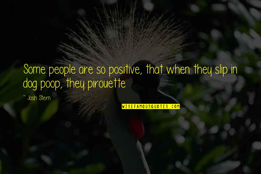 Slip Quotes By Josh Stern: Some people are so positive, that when they