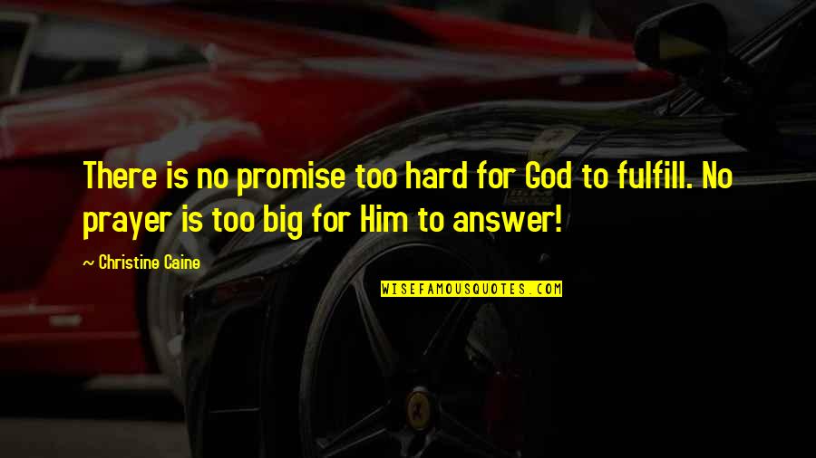 Smaktal Quotes By Christine Caine: There is no promise too hard for God