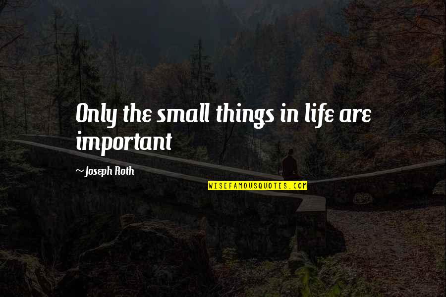 Small Important Quotes By Joseph Roth: Only the small things in life are important