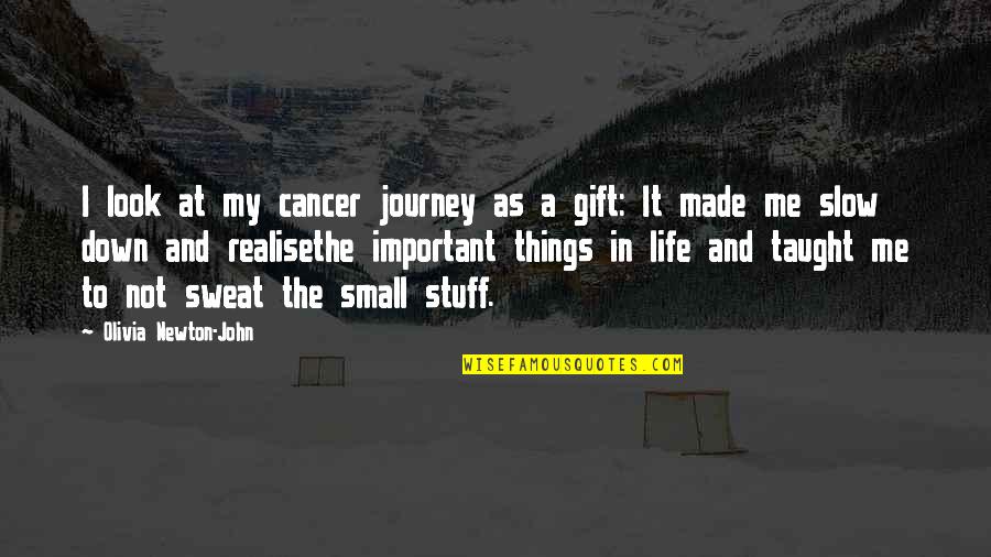 Small Important Quotes By Olivia Newton-John: I look at my cancer journey as a