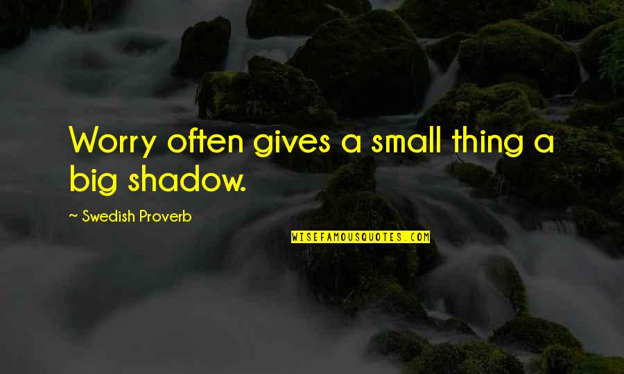 Small Thing Quotes By Swedish Proverb: Worry often gives a small thing a big