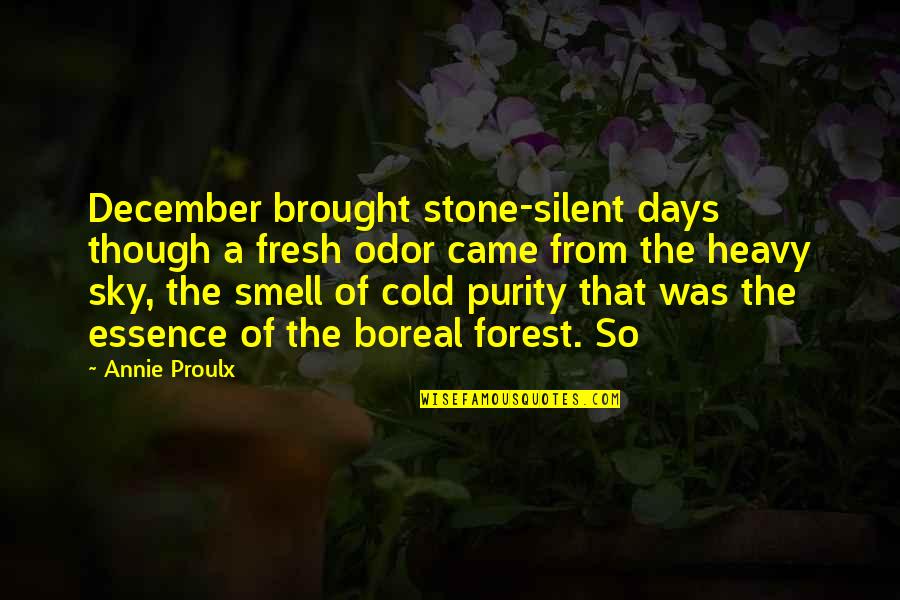 Smell Or Odor Quotes By Annie Proulx: December brought stone-silent days though a fresh odor