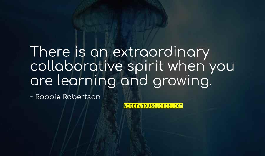 Smutny Obrazek Quotes By Robbie Robertson: There is an extraordinary collaborative spirit when you