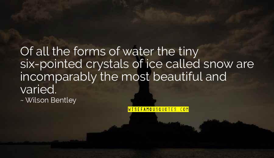 Snow And Ice Quotes By Wilson Bentley: Of all the forms of water the tiny