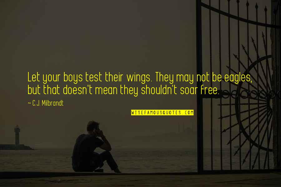 Soar On Eagles Wings Quotes By C.J. Milbrandt: Let your boys test their wings. They may