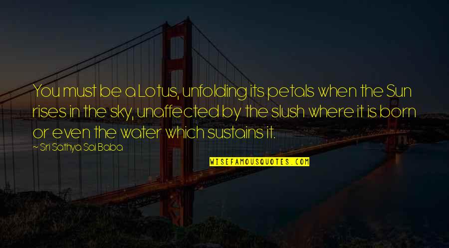 Social Status In To Kill A Mockingbird Quotes By Sri Sathya Sai Baba: You must be a Lotus, unfolding its petals