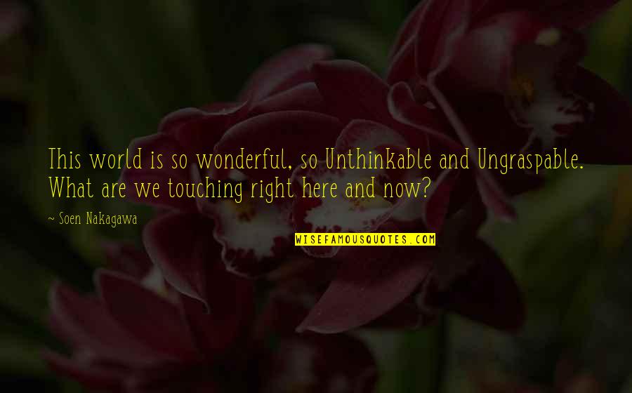 Soen Quotes By Soen Nakagawa: This world is so wonderful, so Unthinkable and