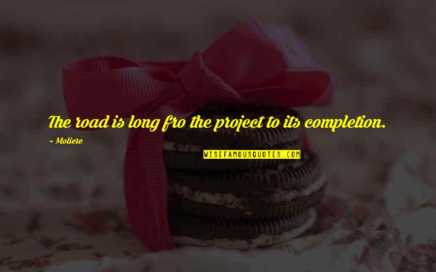 Soifer Center Quotes By Moliere: The road is long fro the project to
