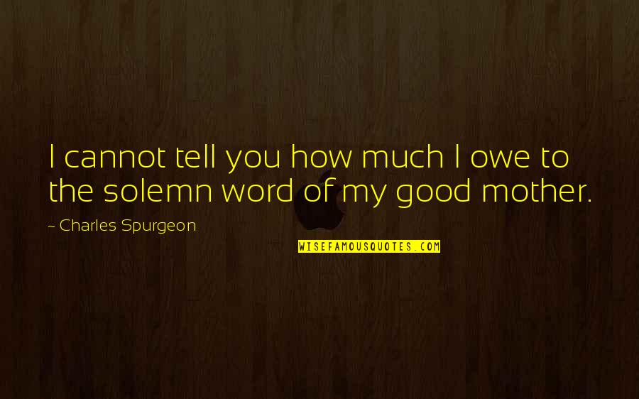 Solemn Quotes By Charles Spurgeon: I cannot tell you how much I owe